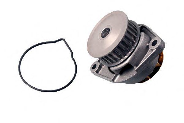 GK 980137 Water Pump